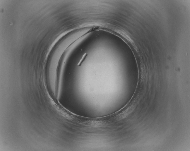 X0000071850984200607211848