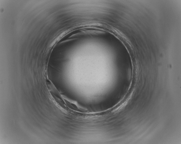 X0000071850985200607211848