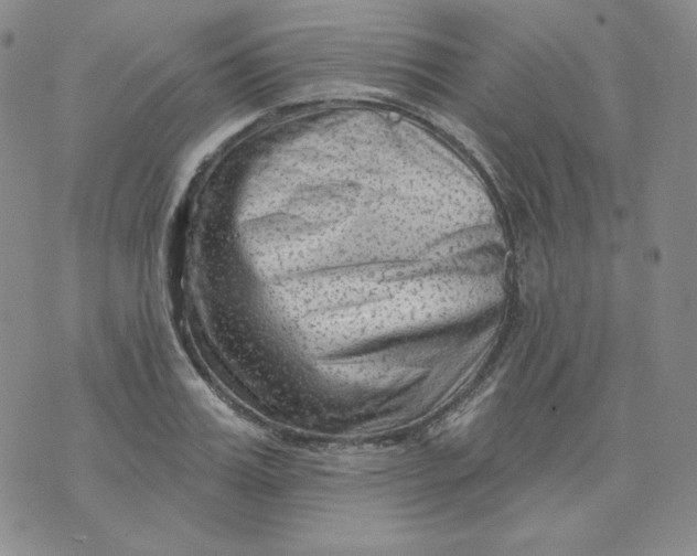 X0000071850987200607211848