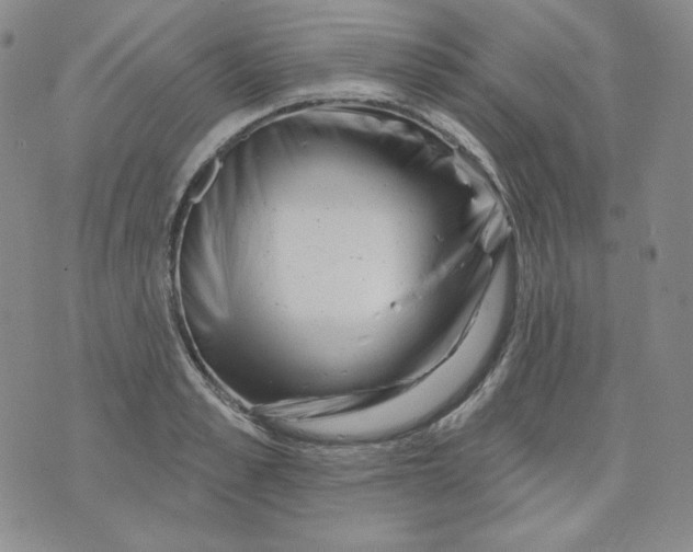 X0000071850989200607211848