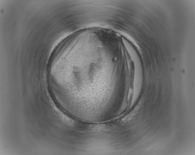 X0000071850991200607211848