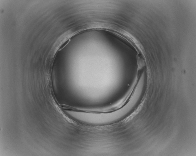 X0000071850993200607211848