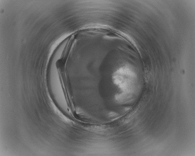 X0000071850995200607211848