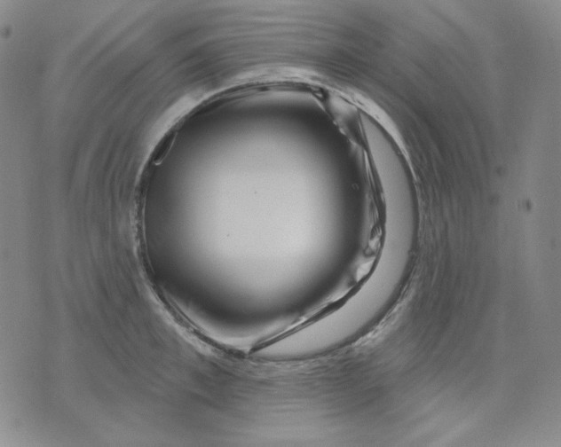 X0000071850997200607211848