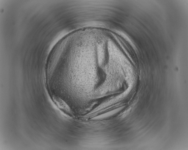 X0000071850999200607211848