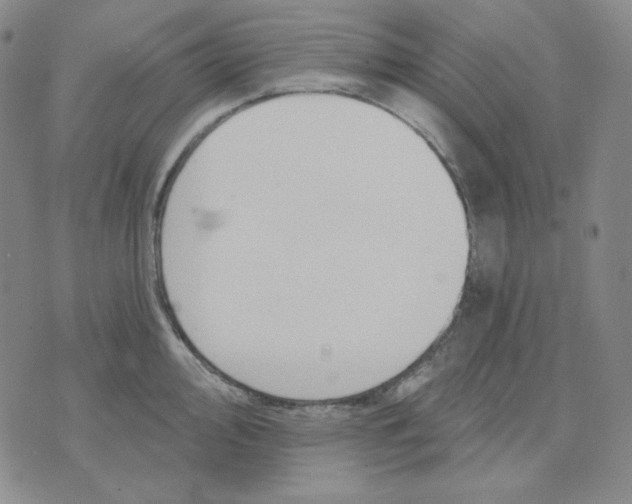 X0000071851000200607211848