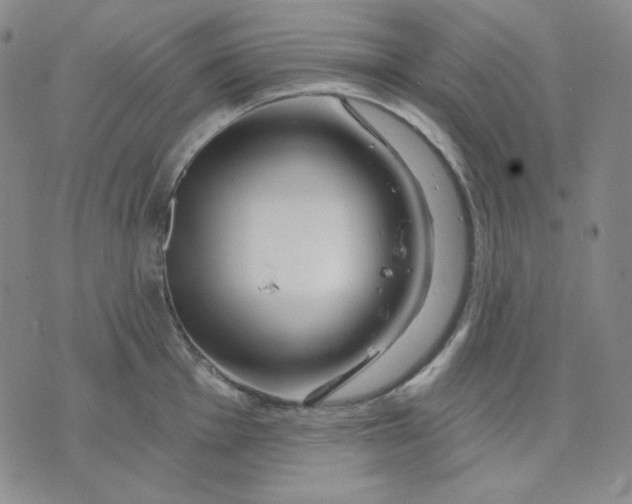 X0000071851001200607211848