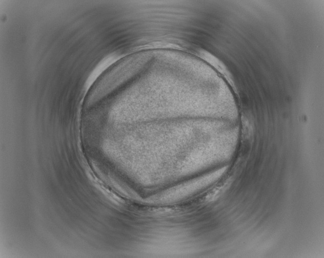 X0000071851002200607211848