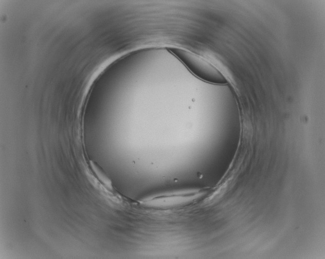 X0000071851004200607211847