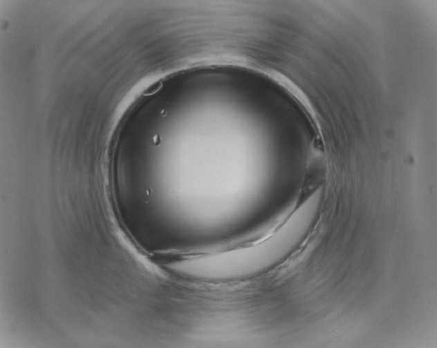 X0000071851005200607211847