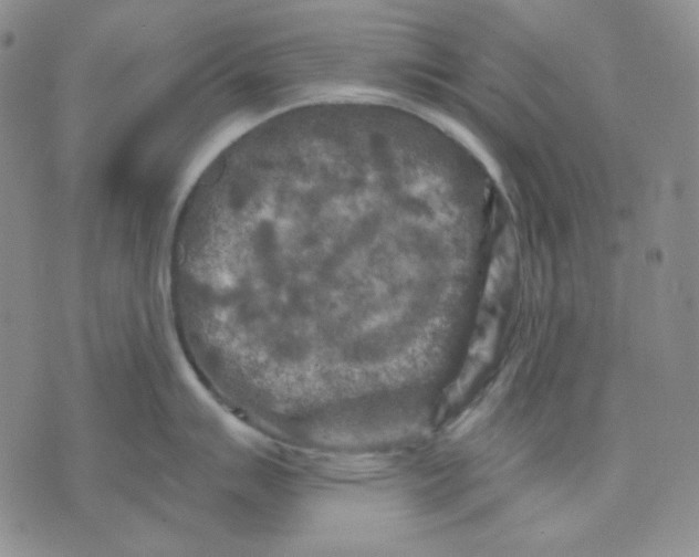 X0000071851007200607211847