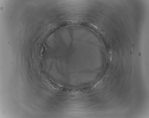 X0000071851009200607211847