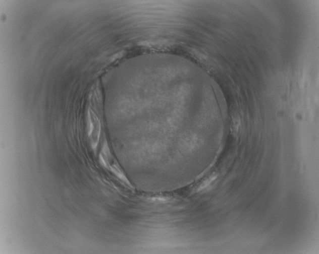 X0000071851010200607211847