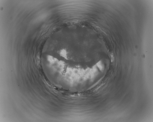 X0000071851011200607211847