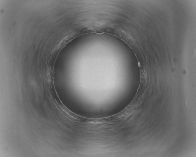 X0000071851012200607211847