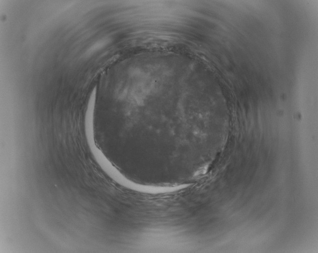 X0000071851013200607211847