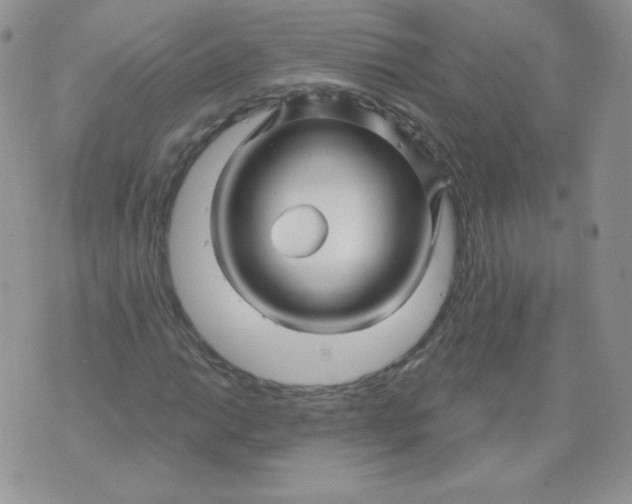 X0000071851014200607211847