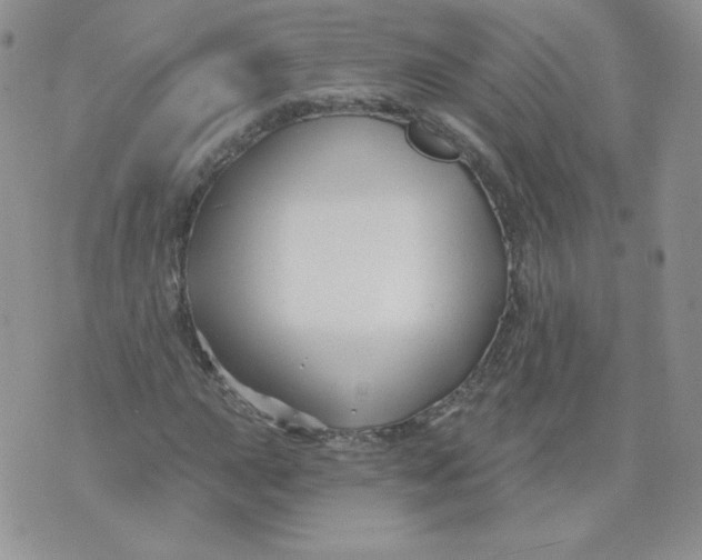 X0000071851015200607211847