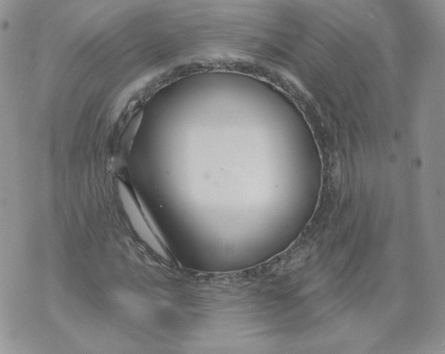 X0000071851016200607211847