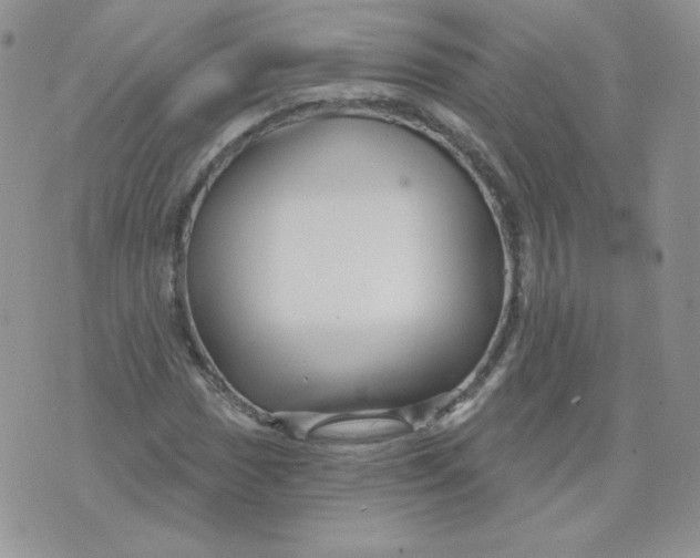 X0000071851017200607211847