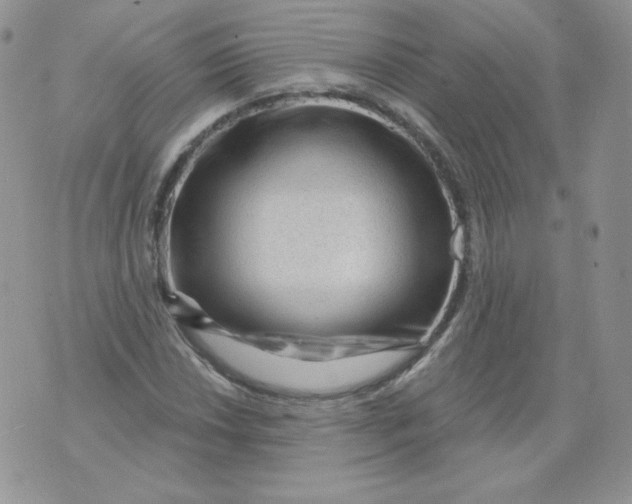 X0000071851018200607211847