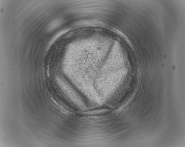 X0000071851019200607211847