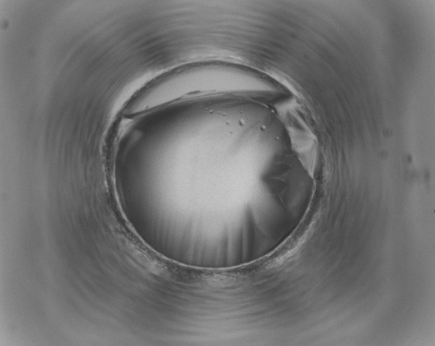 X0000071851022200607211847