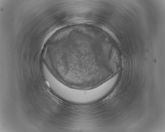 X0000071851023200607211847