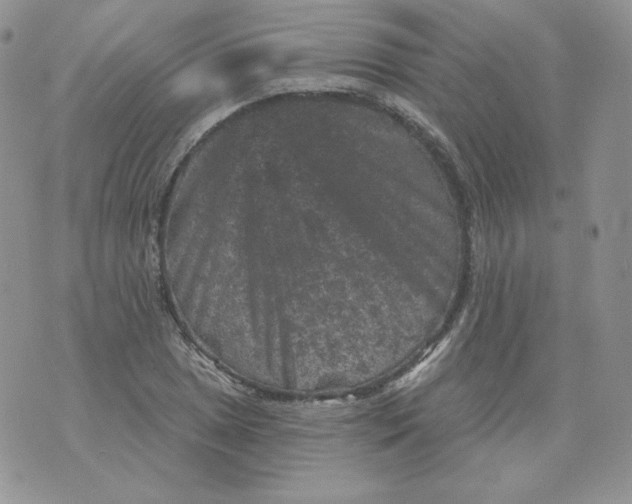 X0000071851025200607211847