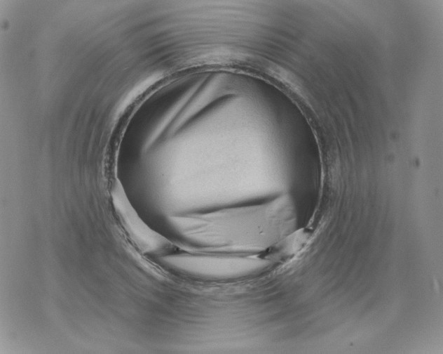 X0000071851026200607211847