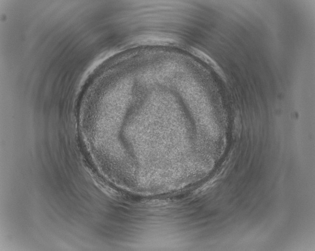 X0000071851027200607211847