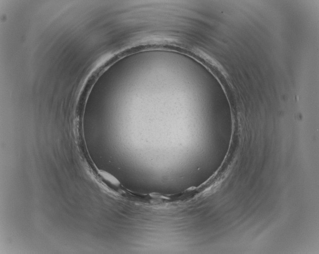 X0000071851029200607211847