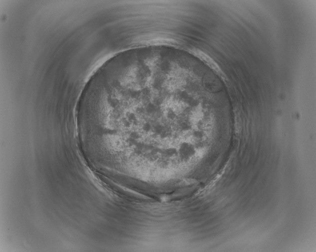 X0000071851031200607211847