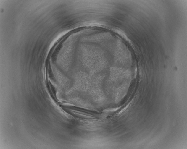 X0000071851032200607211847