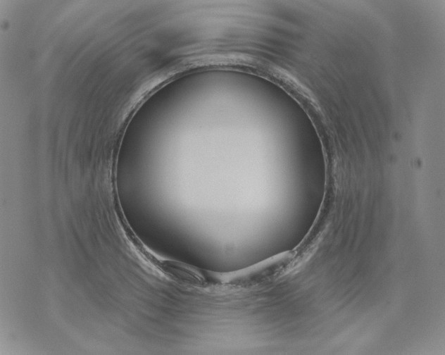 X0000071851033200607211847