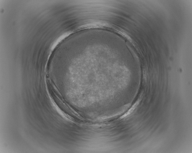 X0000071851034200607211847