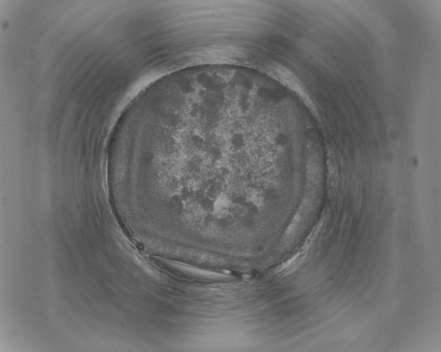 X0000071851035200607211847