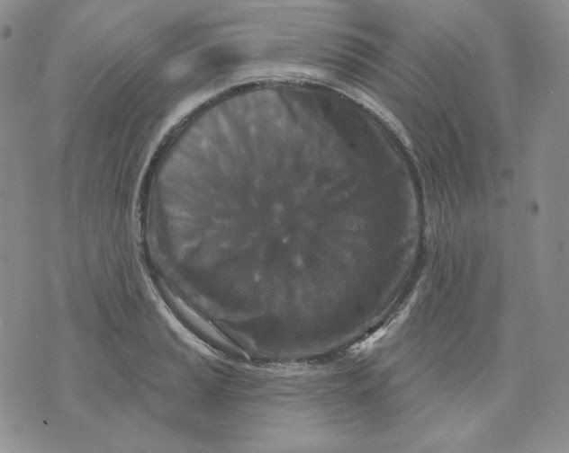 X0000071851037200607211847