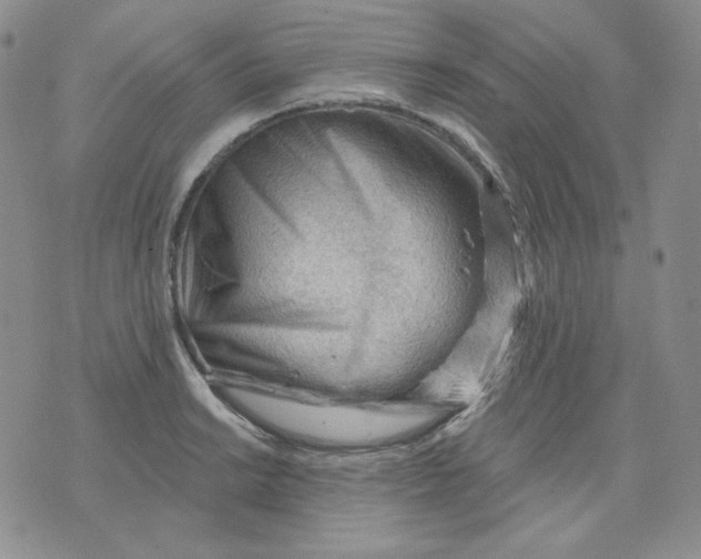 X0000071851038200607211847