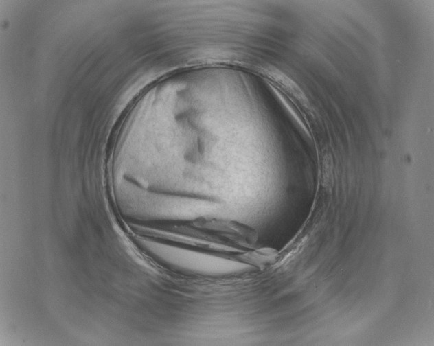 X0000071851039200607211847