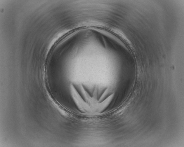 X0000071851040200607211847