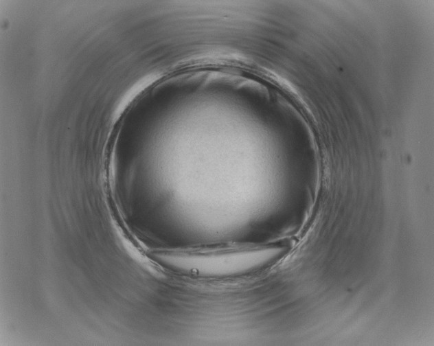 X0000071851042200607211847