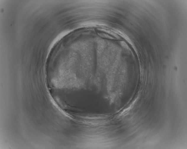 X0000071851045200607211847