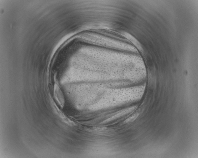 X0000071851052200607211847