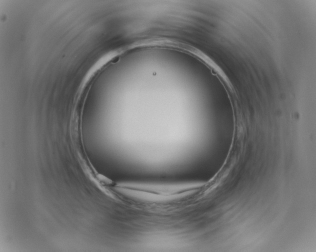 X0000071851053200607211847