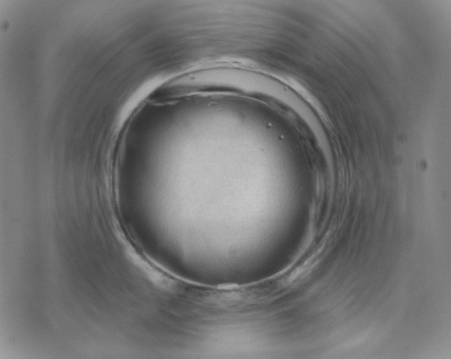 X0000071851054200607211847