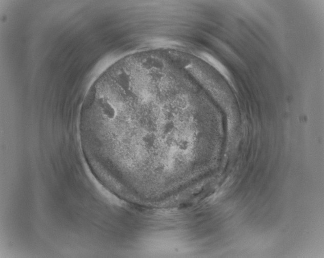 X0000071851055200607211847