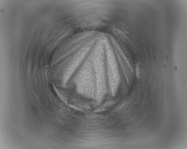 X0000071851059200607211847