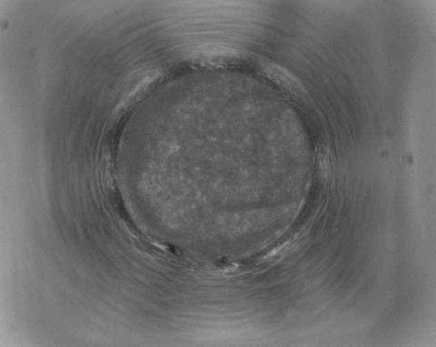 X0000071851060200607211847