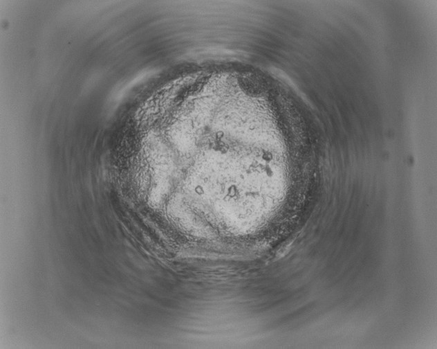 X0000071851063200607211847